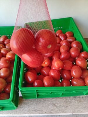 Tomatoes
