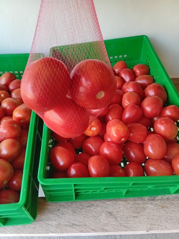 Tomatoes